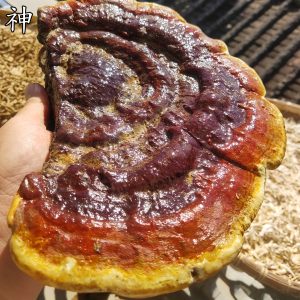 神经衰弱